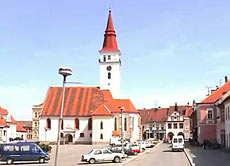 Náhledové foto z videa