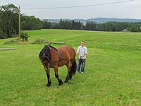Foto č.15 (autor: archiv Múzy dětem, z.s.)