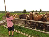 Foto č.29 (autor: archiv Múzy dětem, z.s.)