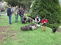 Foto č.19 (autor: archiv Múzy dětem, z.s.)
