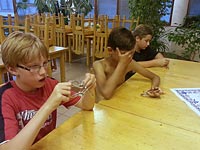 Foto č.12 (autor: archiv Múzy dětem, z.s.)