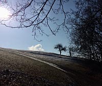 Foto č.01 (autor: archiv Múzy dětem, z.s.)