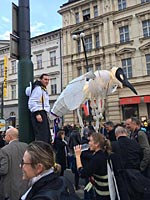 Foto č.12 (autor: archiv Múzy dětem, z.s.)