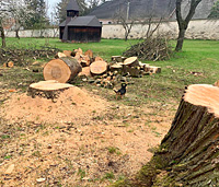 Foto č.14 (autor: archiv Múzy dětem, z.s.)