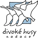 Nadace Divoké husy
